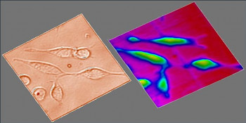 Sensing to seeing: an electrochemical approach
