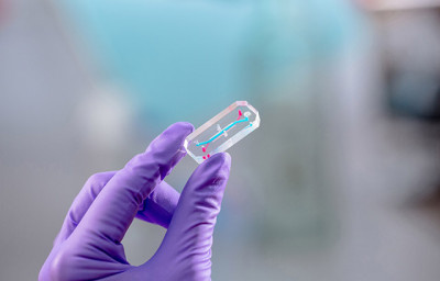 Organ-on-a-chip