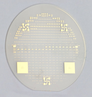 The wafer