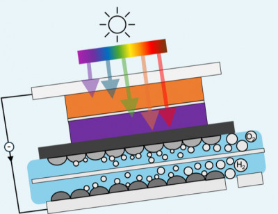 A schematic image demonstrating the findings