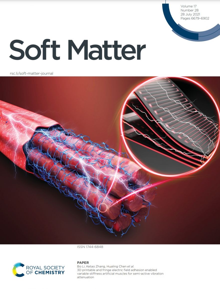 Soft Matter
